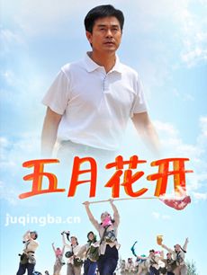 电视剧海报