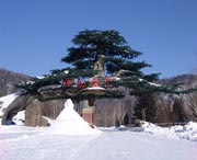 牡丹江后天天气