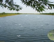 商河后天天气