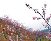 建宁今天天气